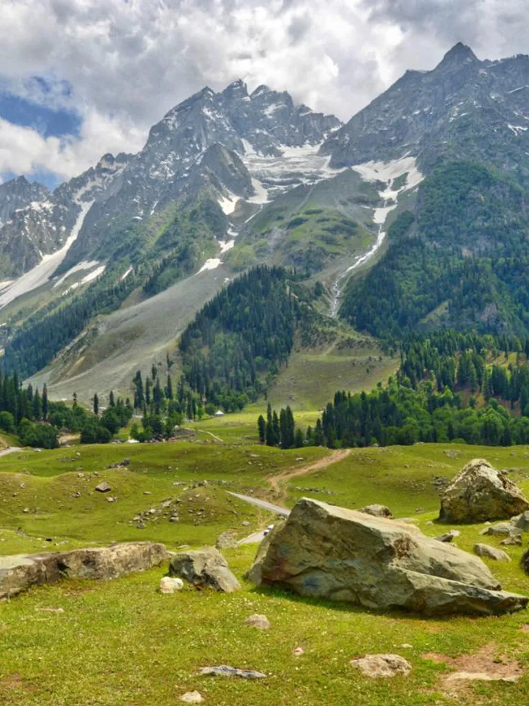  Meadow of Gold (Sonmarg Town)